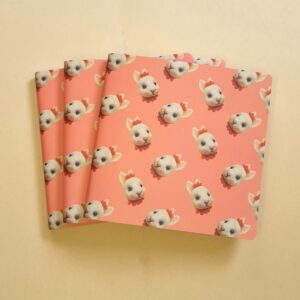 CUADERNOS: imagen 8