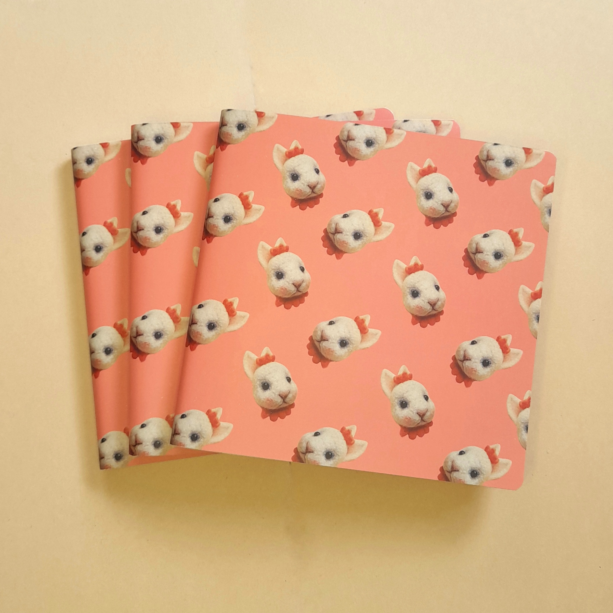 CUADERNOS: imagen 8