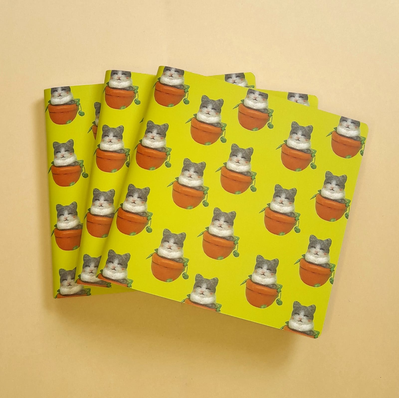 CUADERNOS: imagen 4